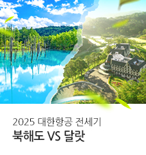 [전세기] 2025 북해도vs달랏 전세기 모음 기획전